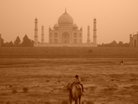 Taj 